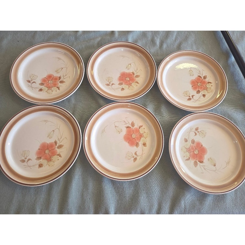 Hearthside Water Colors Blush Stoneware Salad Dessert Plates Set of 6 Japan 7.5"